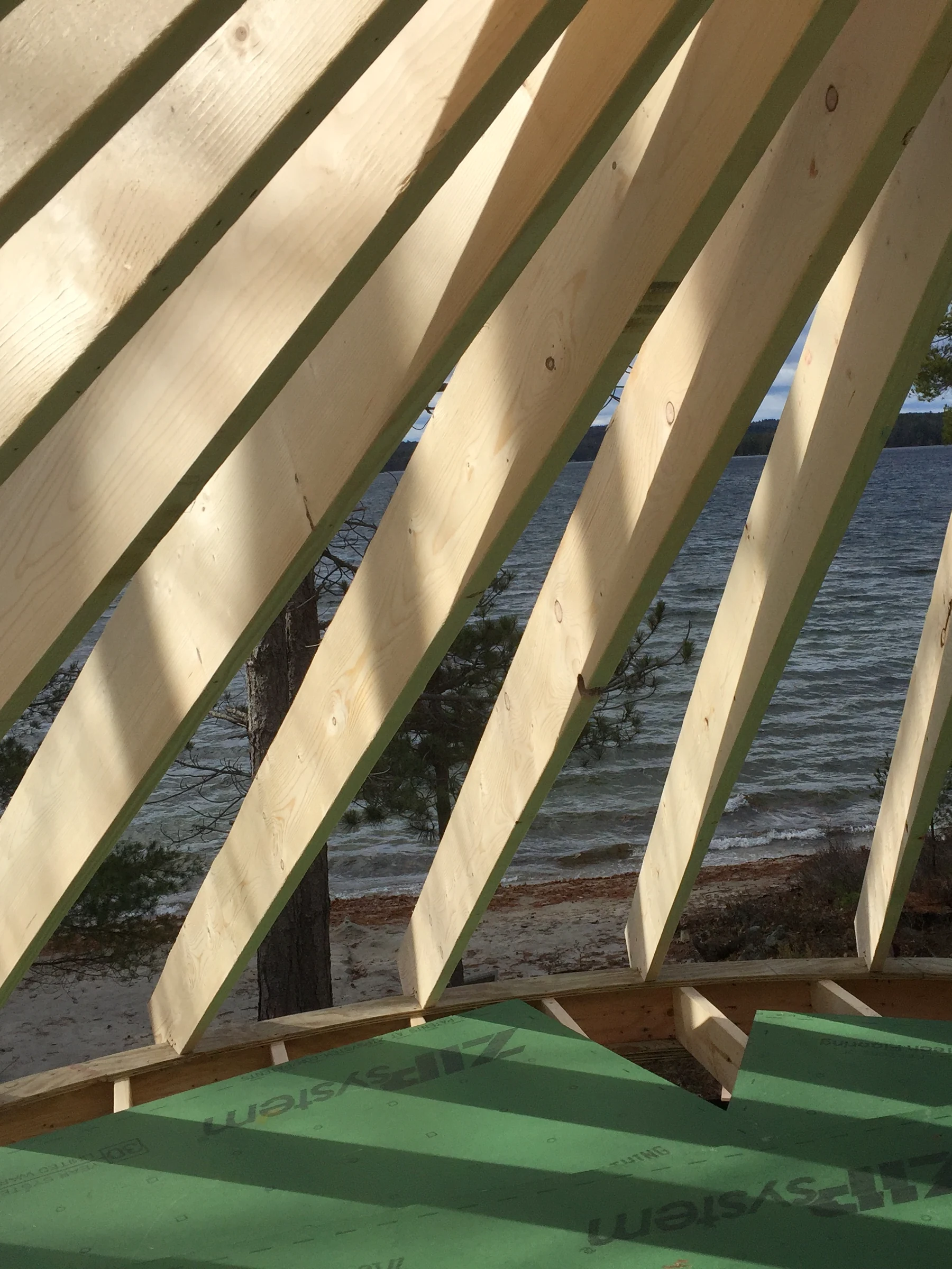 Sunlit diagonal timber roof framing members over green sheathing, with a lake and pine trees visible between the rafters